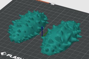 photo_2025_02_16_15_21_39_1x